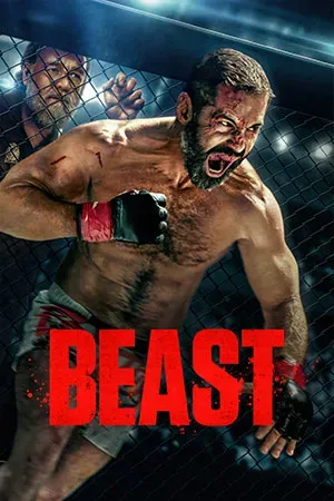 Movies 4